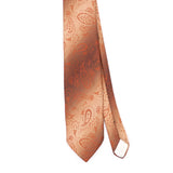 Front Front Detail of Vintage 1980's Sears Paisley Patterned Tie